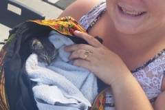 Deborah and a homeless kitten downtown.