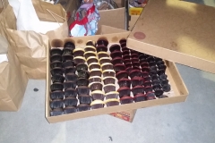 Just one box of the amazing cup cakes from Sprinkles Cup Cakes San Diego. Thanks Sprinkles!