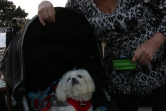 Streets-of-Hope-San-Diego-Diane-and-Gisselle-001